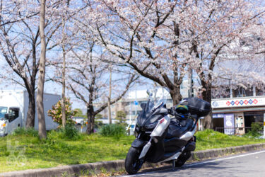 【モトブログ】ぶらりXMAX #56 桜を撮影したくて ぶらりブラリ♪