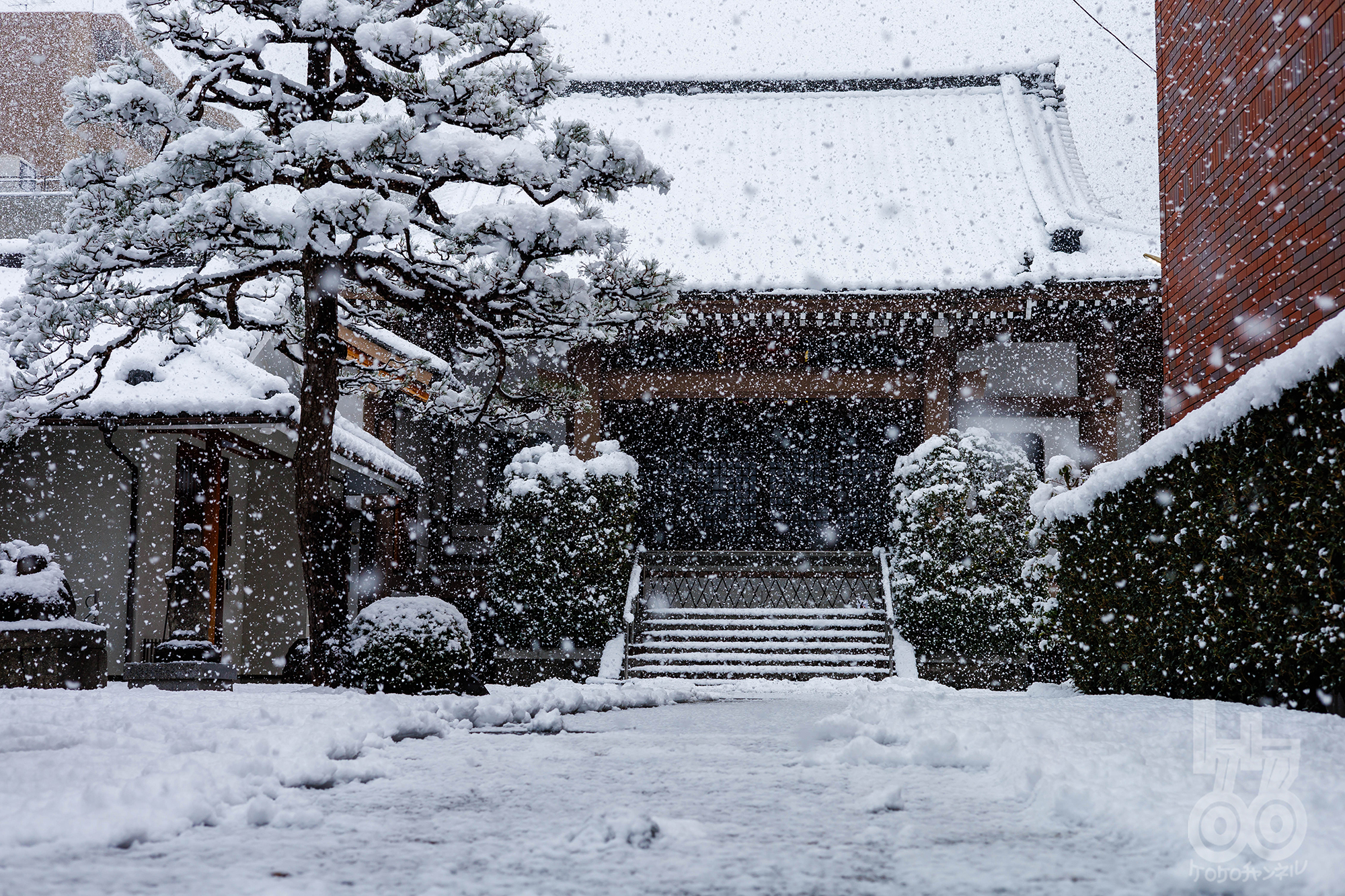 【京都市内】5年ぶりに10ｃｍ超えの積雪