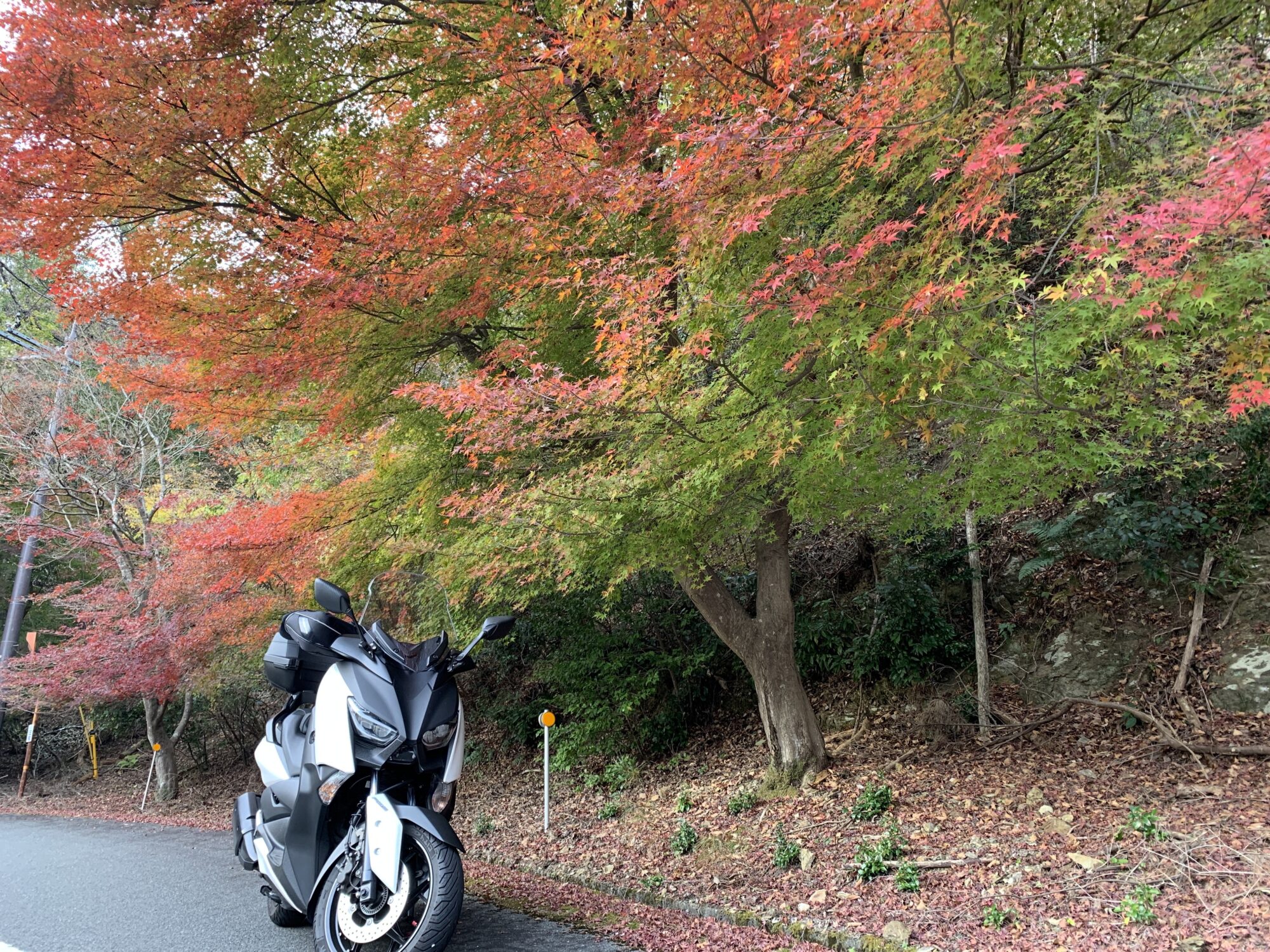 【モトブログ】ぶらりXMAX #38 2018年秋 祇園～紅葉の南禅寺