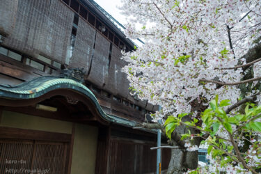 【京都】高瀬川の桜
