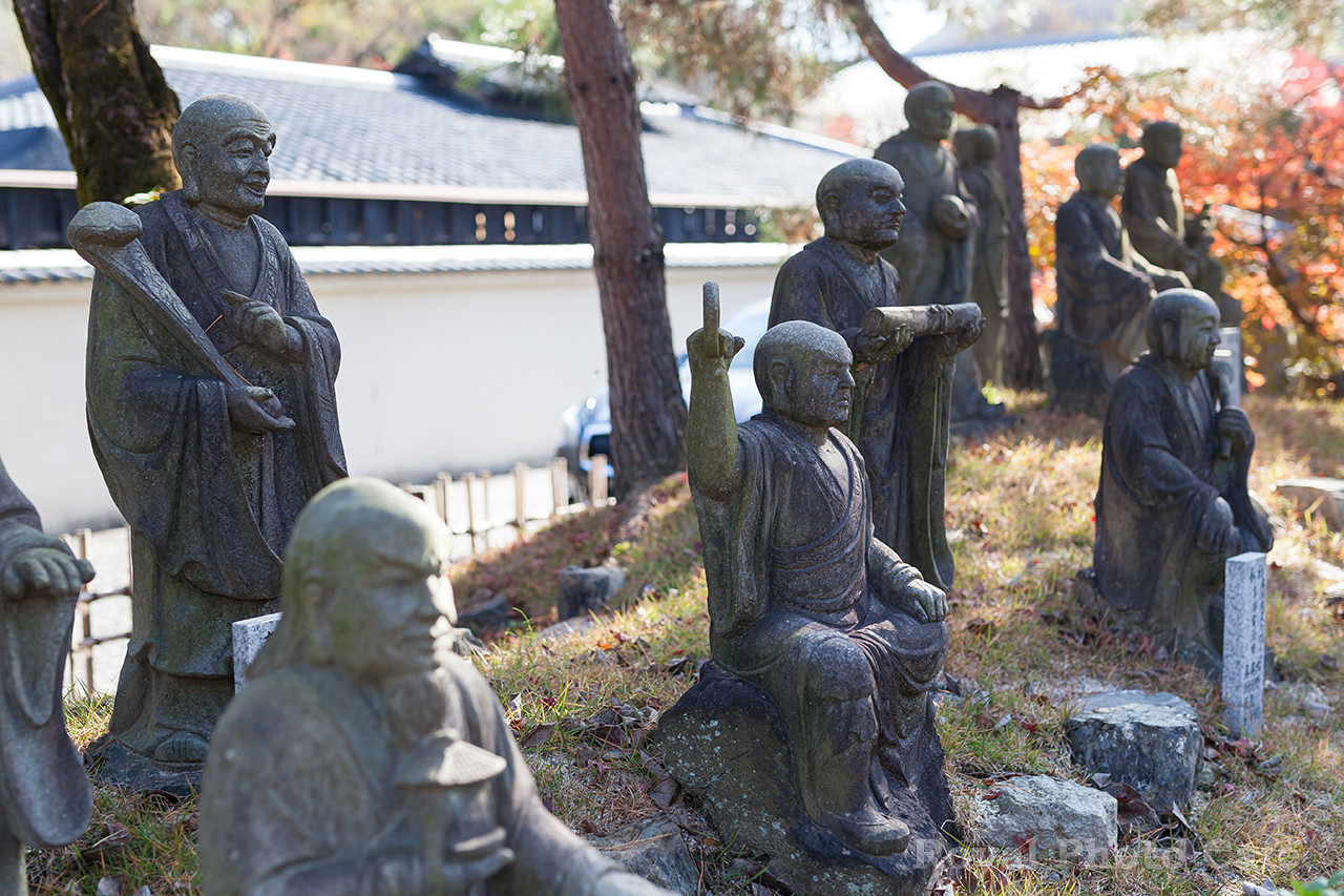 【京都】嵐山～嵯峨をお散歩してきました(‘ω’)ノ#2 昇龍苑～